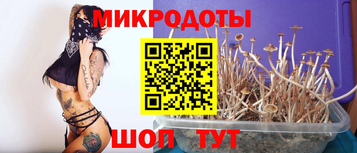 Ирбит  Галлюциногенные грибы мицелий  Вход с VPN 